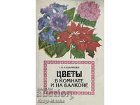 Цветы в комнате и на балконе - Г. К. Тавлинова