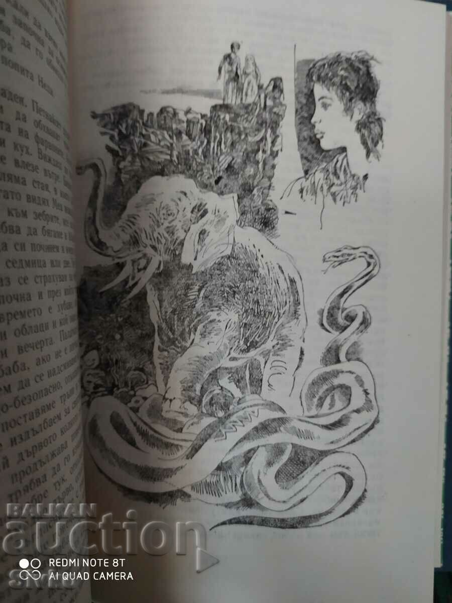 Stas and Nellie, Henrik Senkevech, many illustrations - 6 Stas and Nellie, Henrik Senkevech, many illustrations - 6