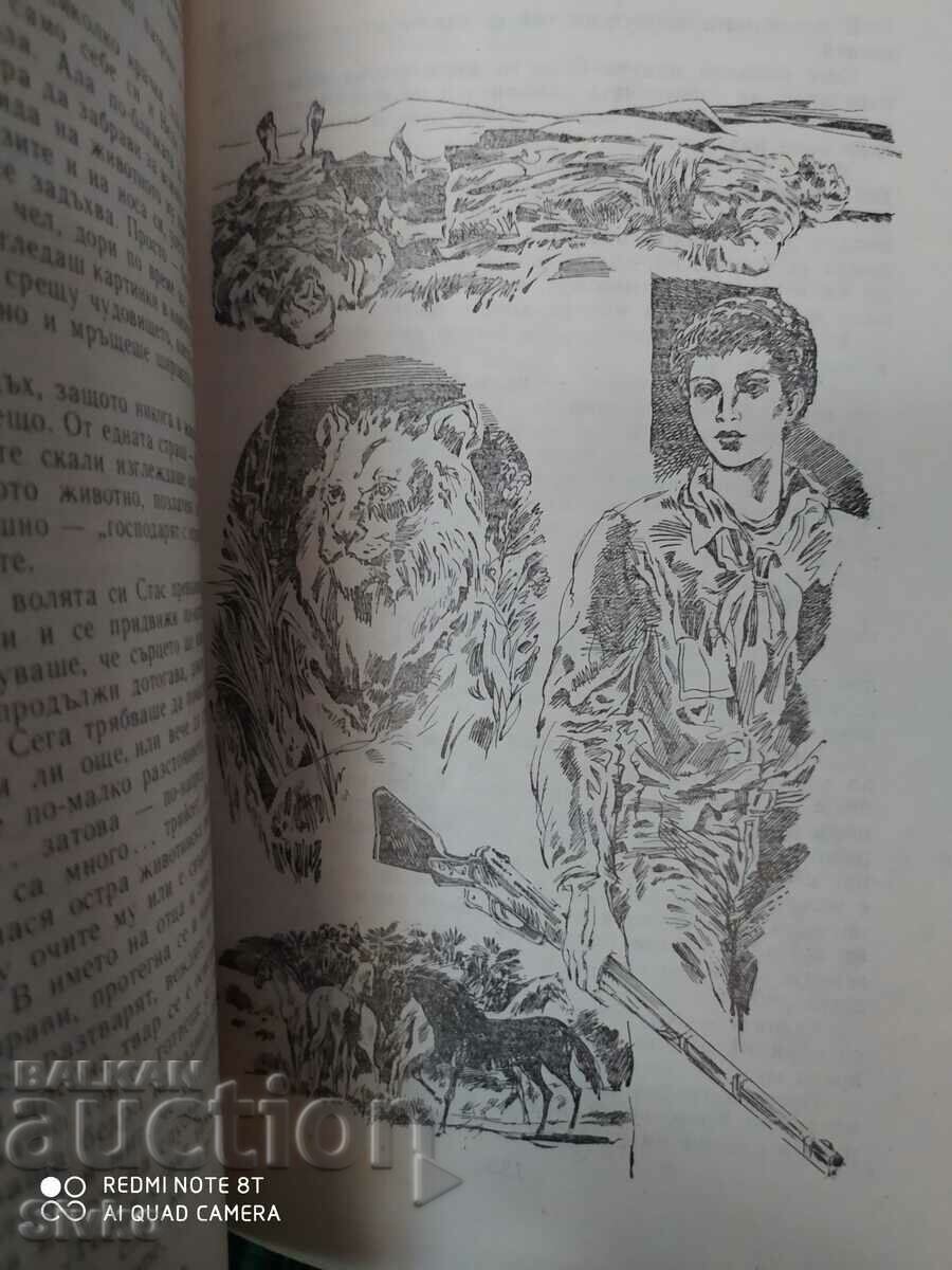 Stas and Nellie, Henrik Senkevech, many illustrations - 7 Stas and Nellie, Henrik Senkevech, many illustrations - 7