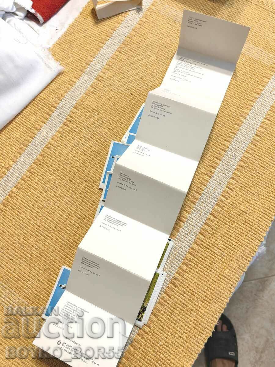 Delivery of Ten Original Posters with Photos of Ruse from 1980 Delivery of Ten Original Posters with Photos of Ruse from 1980