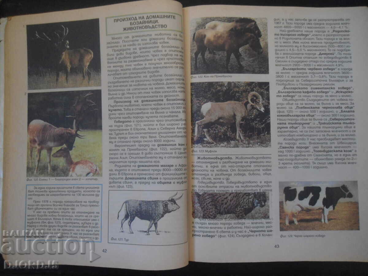 Delivery of Boiliology for 7th grade Delivery of Boiliology for 7th grade