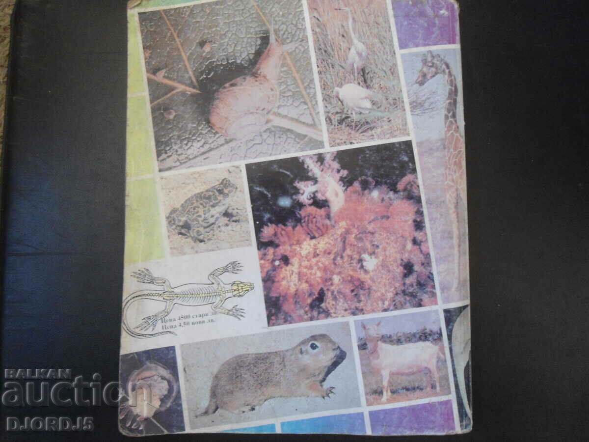 Boiliology for 7th grade - 7 Boiliology for 7th grade - 7