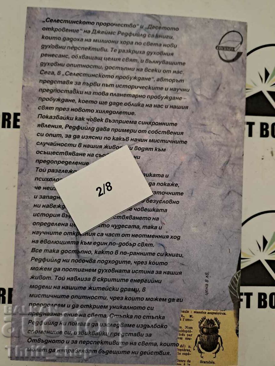 Auction Celestial Awakening Auction Celestial Awakening