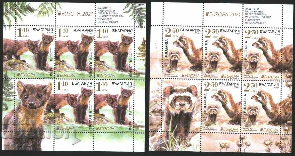 Καθαρίστε γραμματόσημα μικρά σεντόνια Europe SEPT Fauna 2021 από τη Βουλγαρία