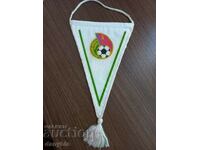 Steagul fotbalului - RSFSR - URSS