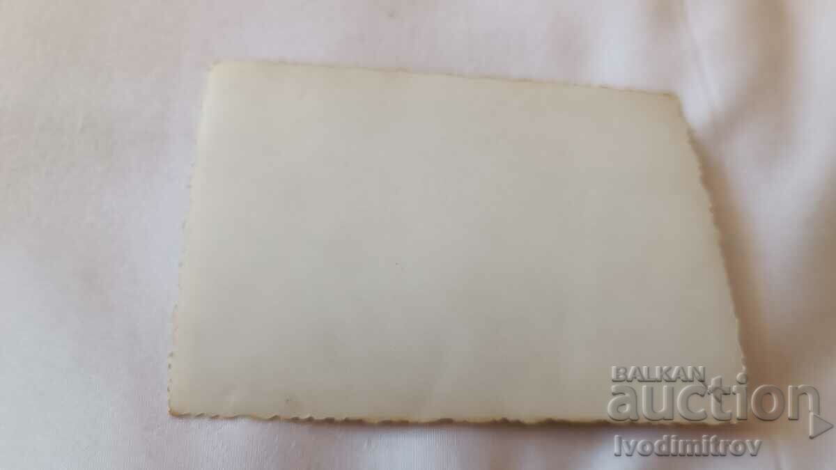 Φωτογραφία Μουσική SCHWEINE με τιμή € 2.38 | 4.65 BGN Φωτογραφία Μουσική SCHWEINE με τιμή € 2.38 | 4.65 BGN