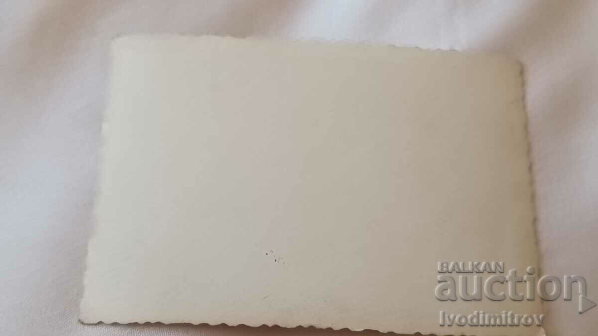 Photo Factory LIV for suitcases with price 4.45 BGN | € 2.28 Photo Factory LIV for suitcases with price 4.45 BGN | € 2.28