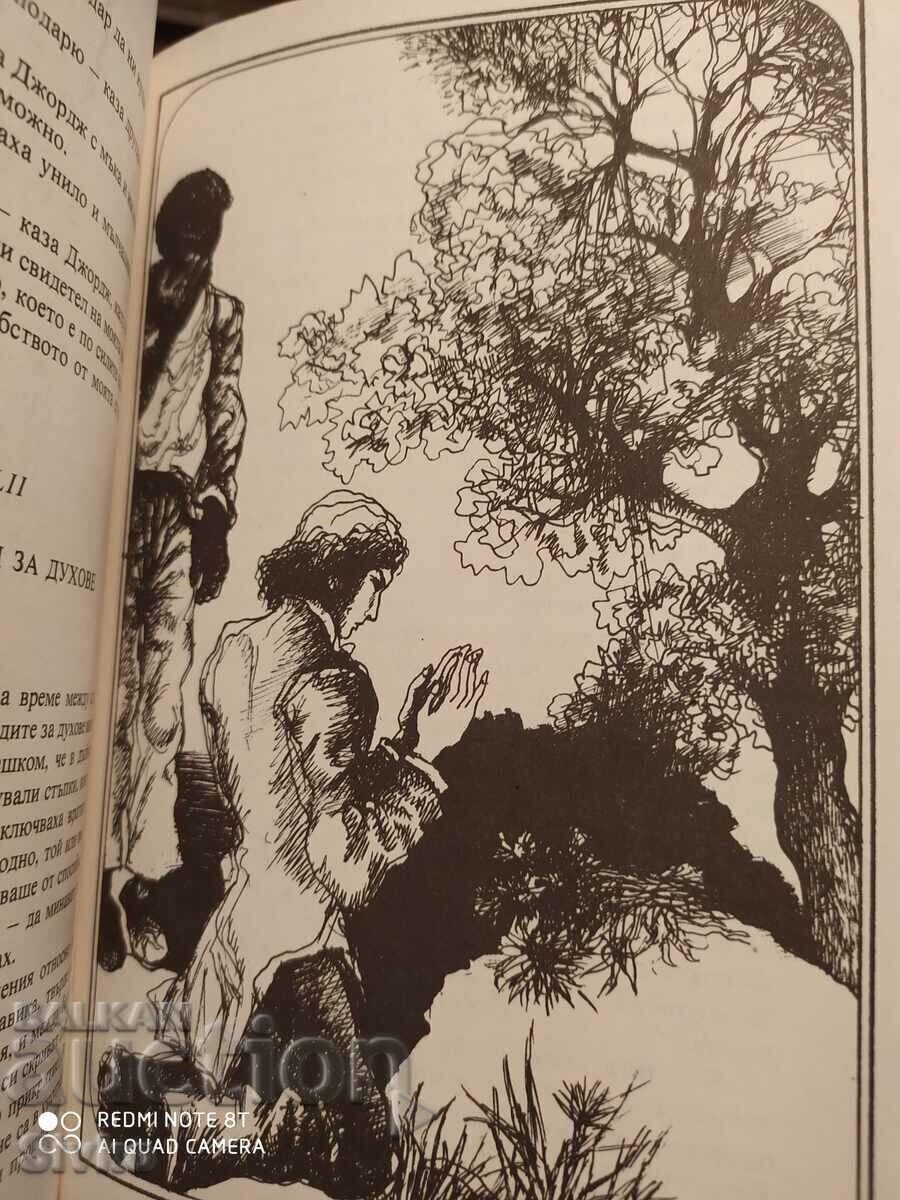 Delivery of Uncle Tom's Cabin, Harriet Beecher Stone, many illustrations Delivery of Uncle Tom's Cabin, Harriet Beecher Stone, many illustrations