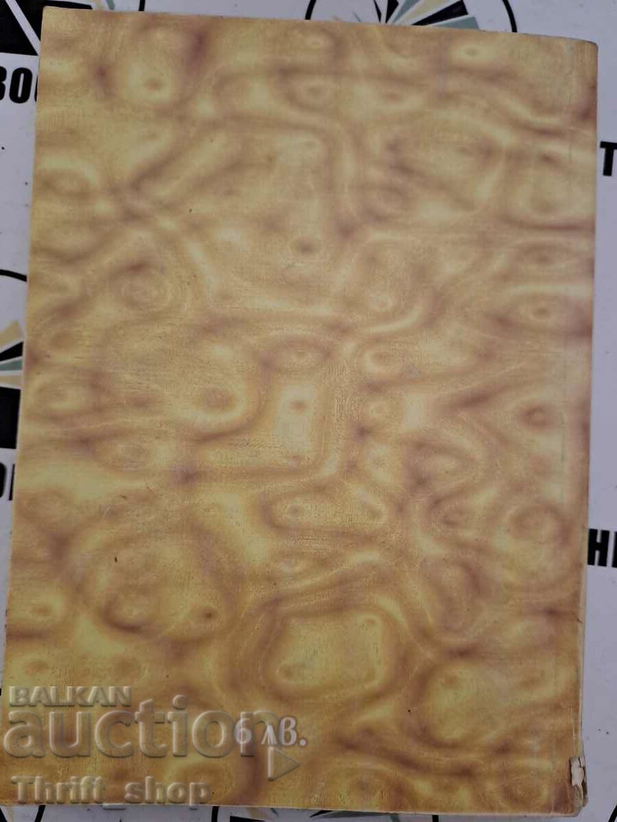 Δημοπρασία Διάγνωση κάρμα. Μέρος 5-6 Sergey N. Lazarev