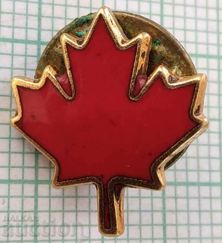 13737 Значка - герб Канада Кленов лист - бронз емайл