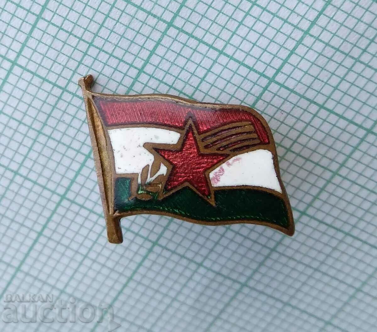 13745 Hungary - bronze enamel with price 5.00 BGN | € 2.56 13745 Hungary - bronze enamel with price 5.00 BGN | € 2.56