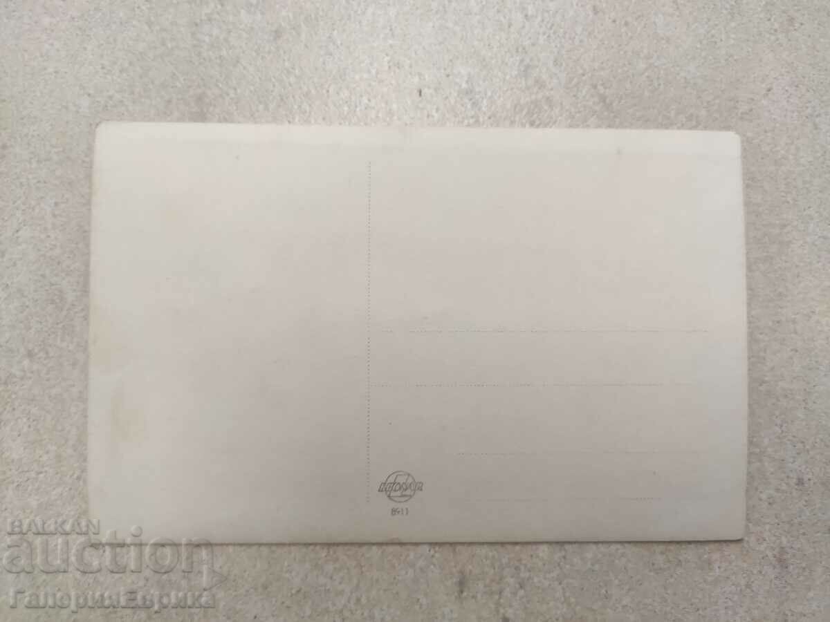 Auction  Old postcard photo Pleven