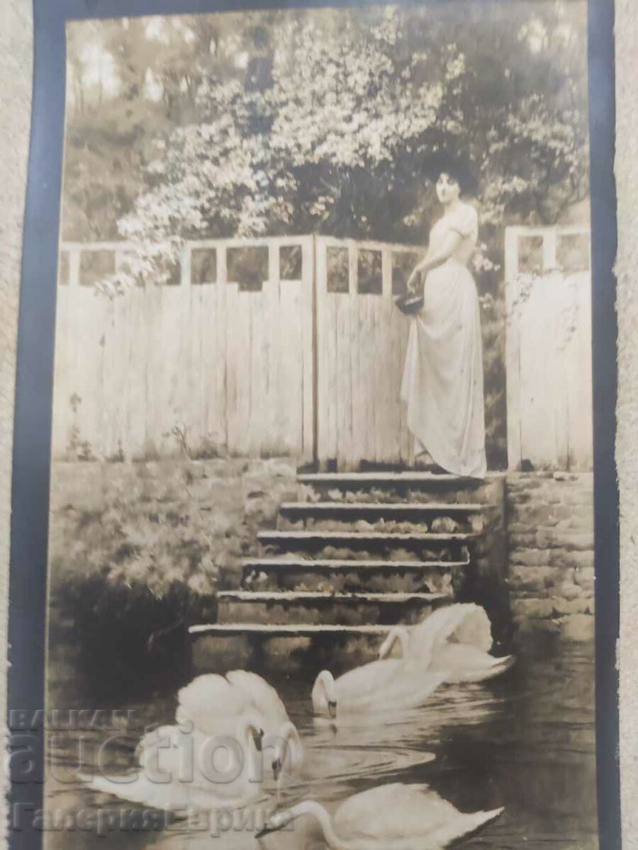 Old picture postcard with price 4.00 BGN | € 2.05 Old picture postcard with price 4.00 BGN | € 2.05