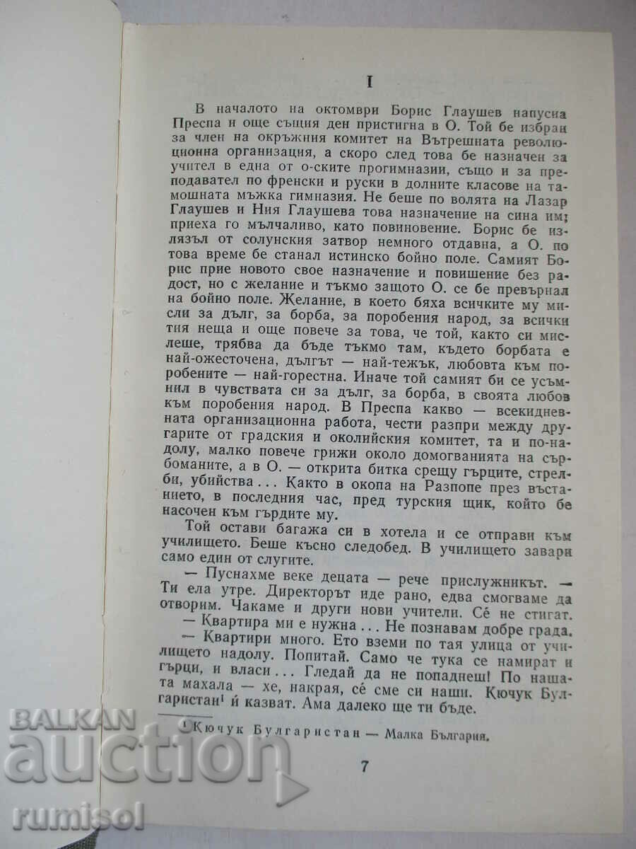 Δημοπρασία Ακούω τις φωνές σας - Dimitar Talev