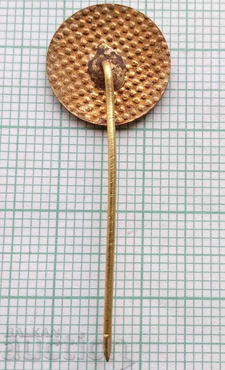 13801- 50 years BCHK Bulgarian Red Cross - bronze enamel - 5