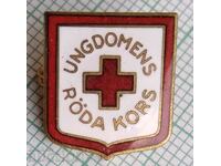 13806 - Ερυθρός Σταυρός Νέων Σουηδίας - χάλκινο σμάλτο