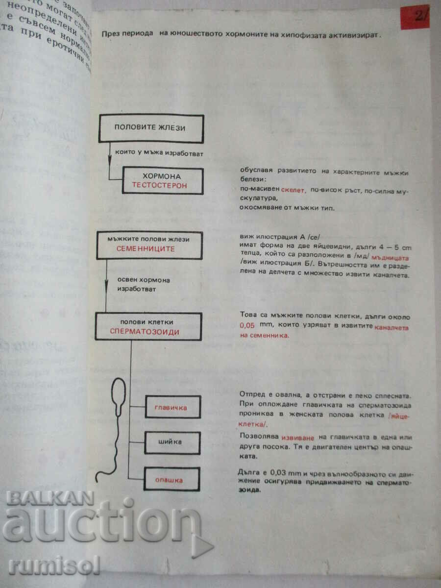 Când voi fi mare - Eva Poliakova, Karol Poradovski - 5 Când voi fi mare - Eva Poliakova, Karol Poradovski - 5