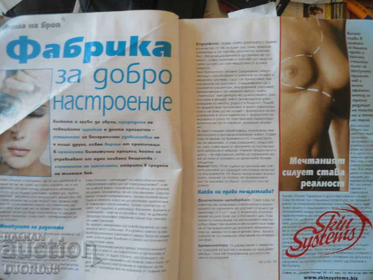 Auction  Hair & Style October 2007