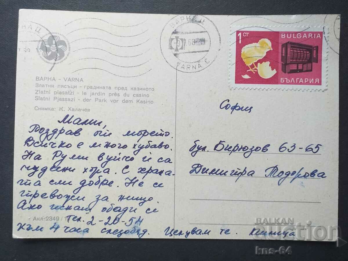 Βάρνα με τιμή € 0.36 | 0.70 BGN