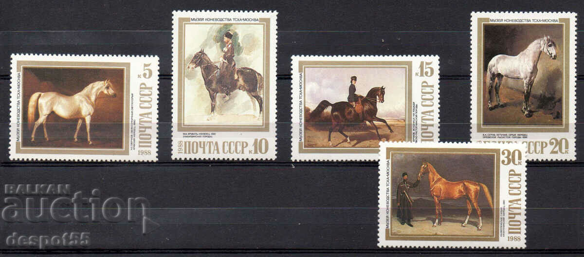 1988. USSR. Horses in pictures.