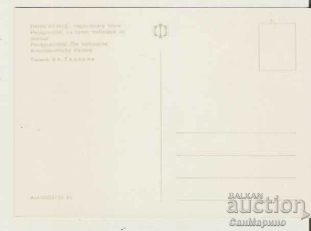 Card Bulgaria Panagyurishte Cherry ball* with price 0.70 BGN | € 0.36