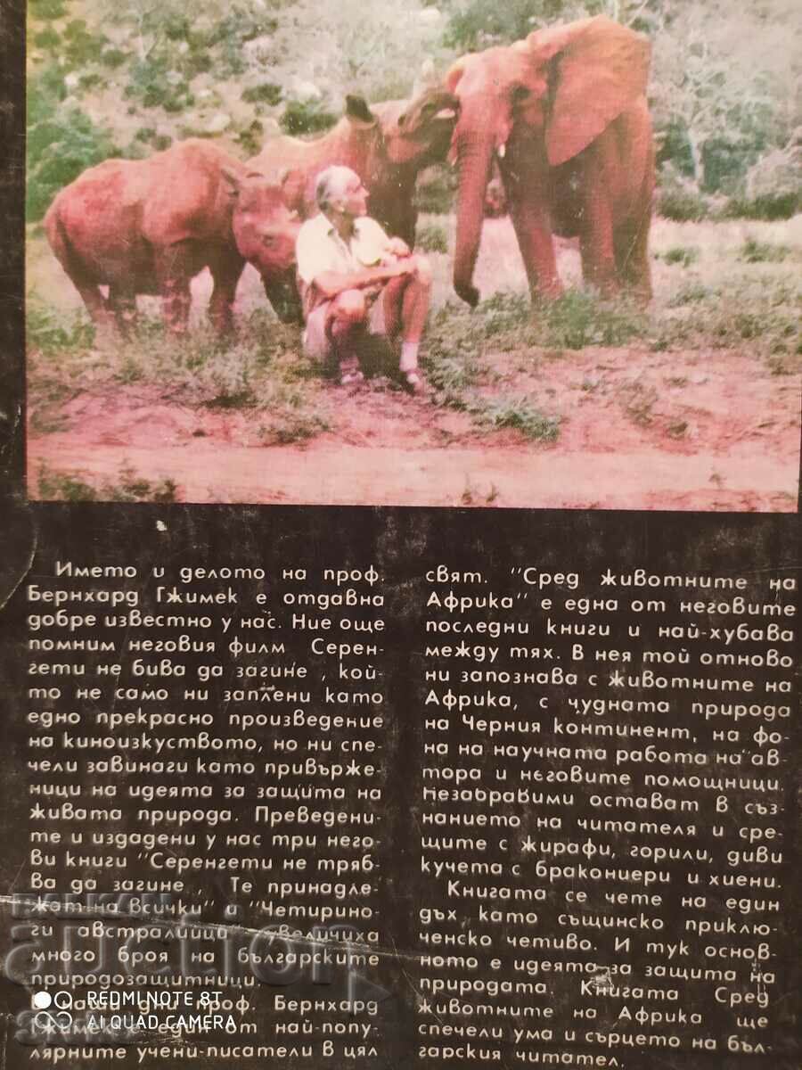Among the animals of Africa, Bernhard Gjimek, many photos with price 0.99 BGN | € 0.51 Among the animals of Africa, Bernhard Gjimek, many photos with price 0.99 BGN | € 0.51