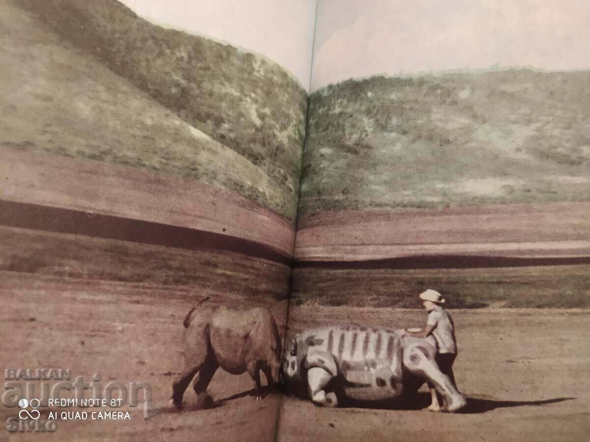 Delivery of Among the animals of Africa, Bernhard Gjimek, many photos Delivery of Among the animals of Africa, Bernhard Gjimek, many photos