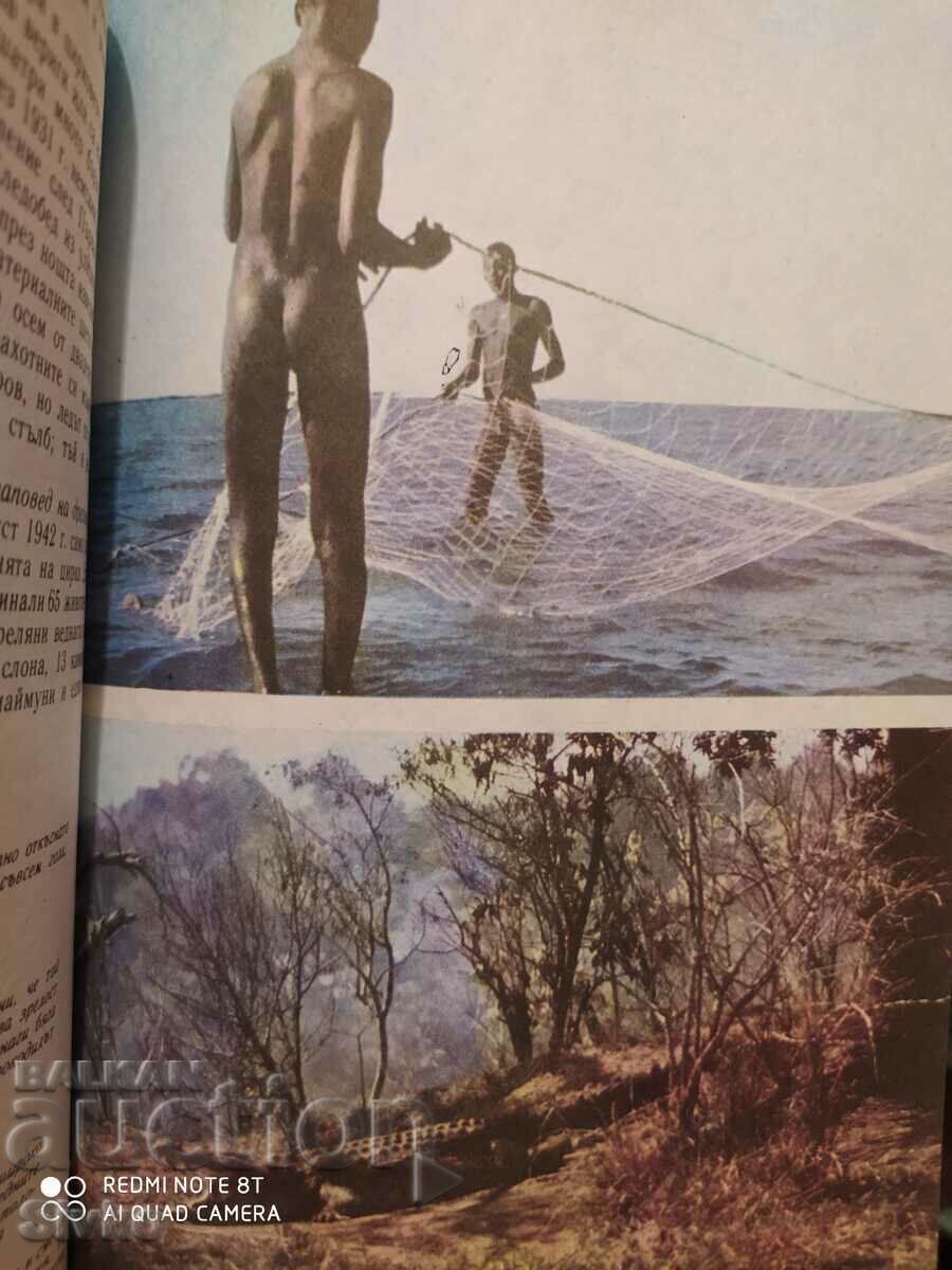 Ανάμεσα στα ζώα της Αφρικής, ο Bernhard Gjimek, πολλές φωτογραφίες - 5