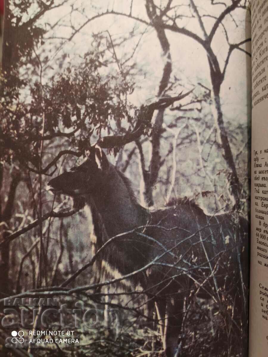 Among the animals of Africa, Bernhard Gjimek, many photos - 7 Among the animals of Africa, Bernhard Gjimek, many photos - 7