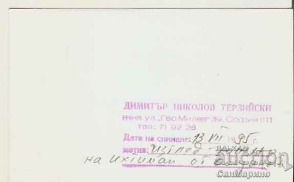 Card Bulgaria Ihtiman View 4* with price 1.20 BGN | € 0.61 Card Bulgaria Ihtiman View 4* with price 1.20 BGN | € 0.61