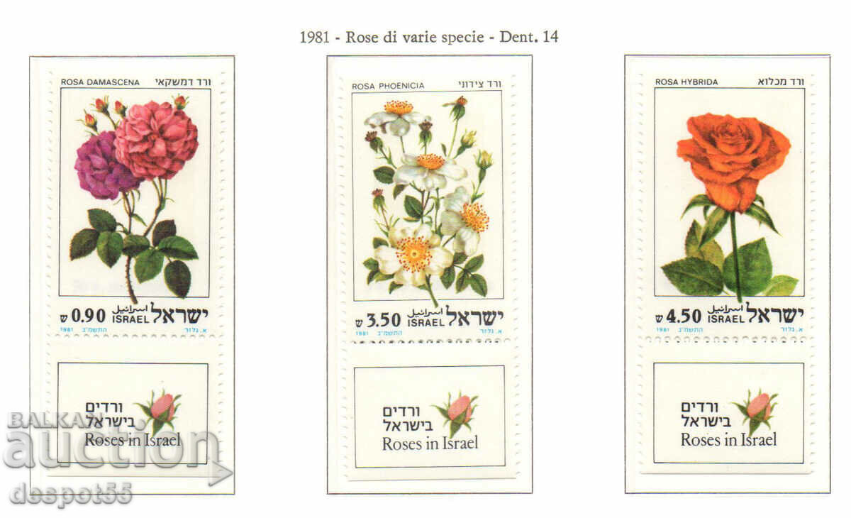 1981. Ισραήλ. Τριαντάφυλλα από το Ισραήλ.