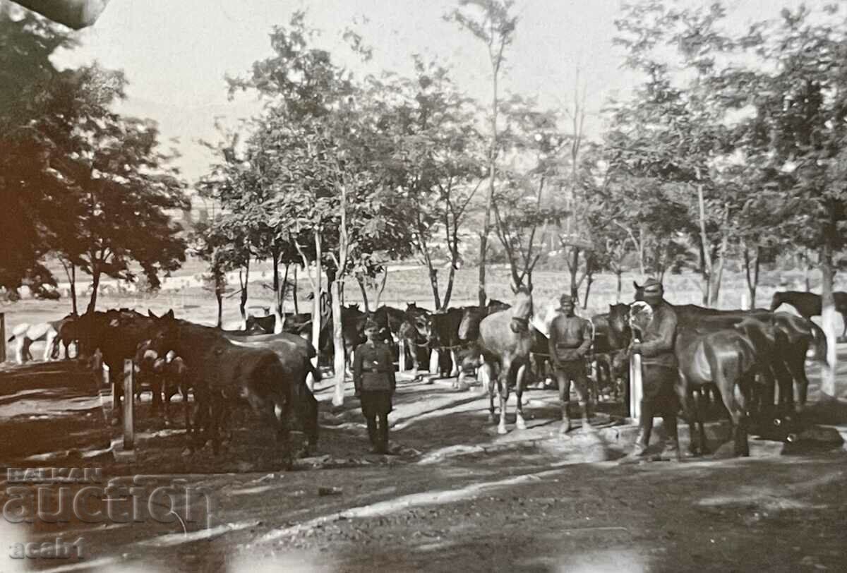 Skopje 1941 Cavalry Squadron - 5 Skopje 1941 Cavalry Squadron - 5