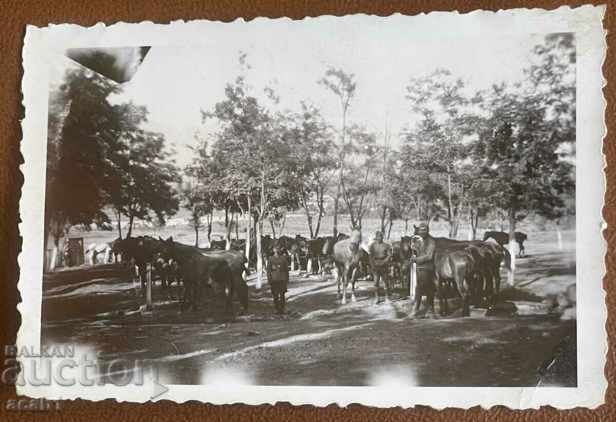 Skopje 1941 Cavalry Squadron - 6 Skopje 1941 Cavalry Squadron - 6