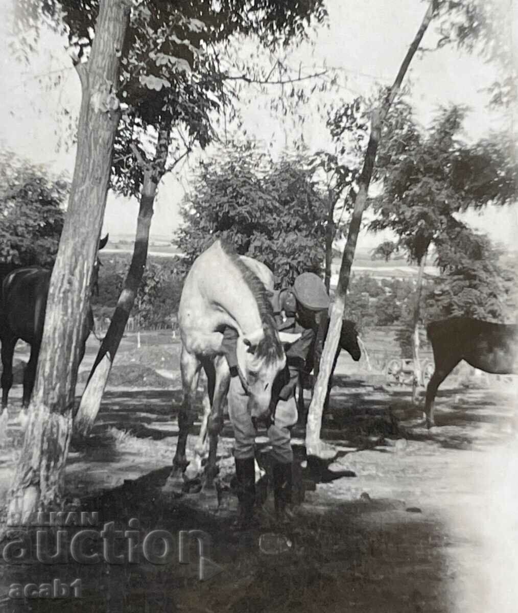Skopje 1941 Cavalry Squadron - 7 Skopje 1941 Cavalry Squadron - 7