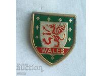 Wales - Football Association Badge. Email