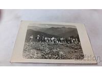 Photo Young men and women on an excursion in Stara planina 1935