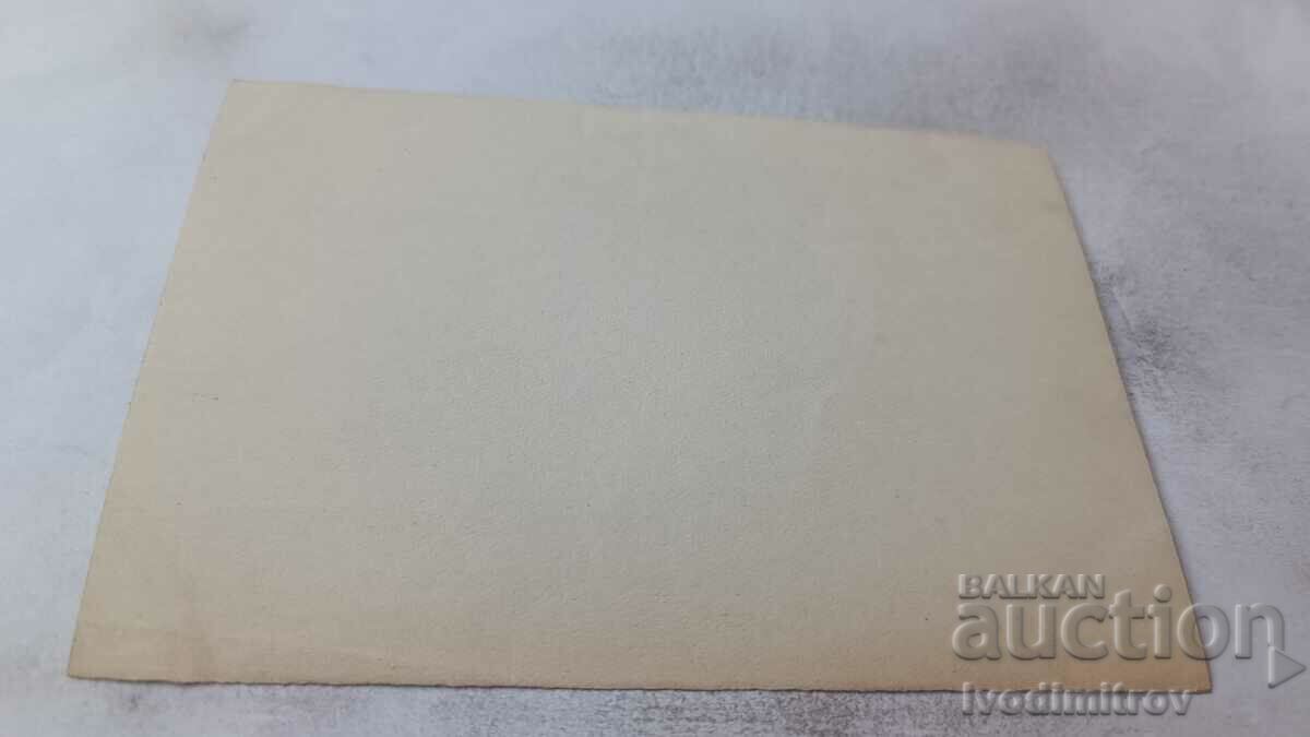 Photo Flood from the Danube River with price 5.65 BGN | € 2.89 Photo Flood from the Danube River with price 5.65 BGN | € 2.89