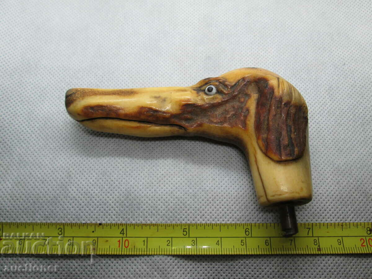 BEAUTIFUL RARE CANE HANDLE - BONE with price 100.00 BGN | € 51.13 BEAUTIFUL RARE CANE HANDLE - BONE with price 100.00 BGN | € 51.13