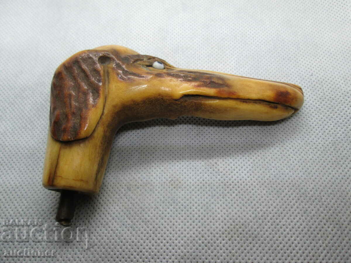 Auction BEAUTIFUL RARE CANE HANDLE - BONE Auction BEAUTIFUL RARE CANE HANDLE - BONE