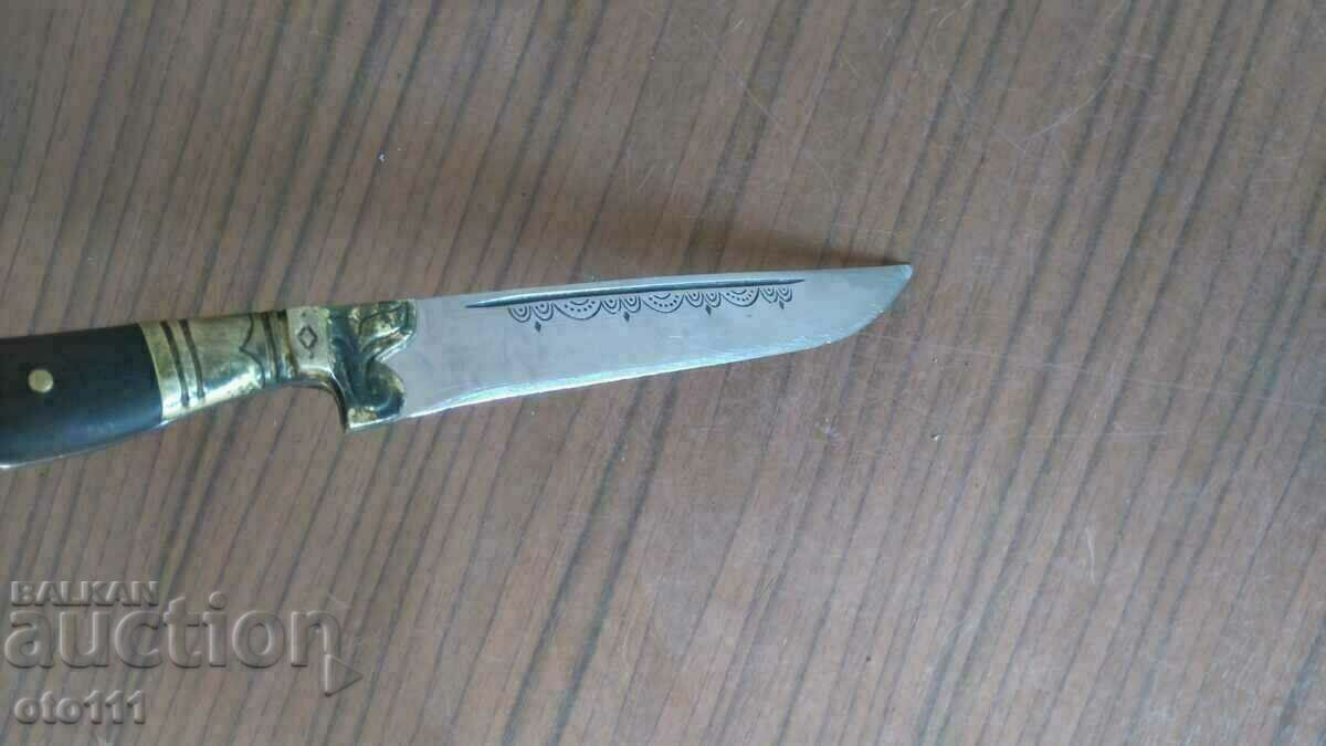 CUIT VECHI - CORN DE BIVOL - 7