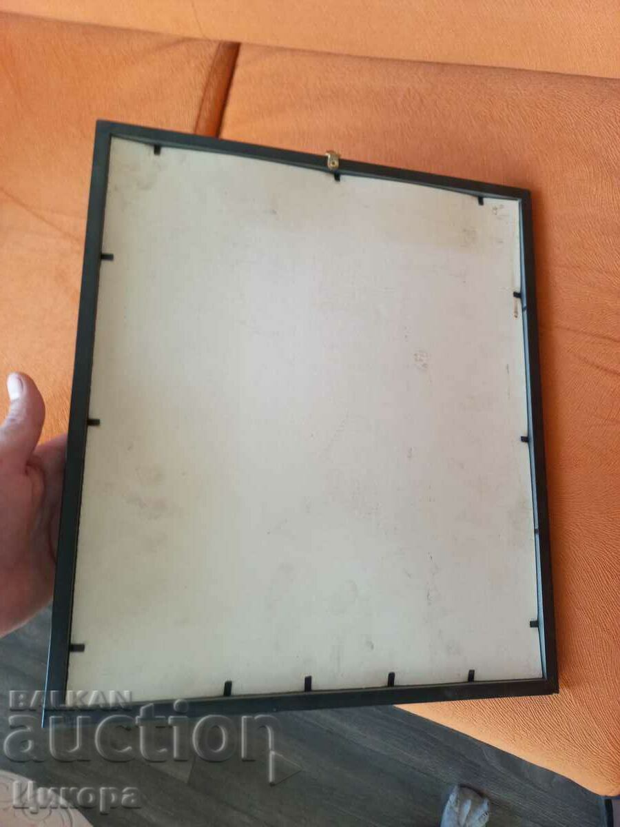 EDELWEISS HERBARIUM RRRRRR - 6 EDELWEISS HERBARIUM RRRRRR - 6