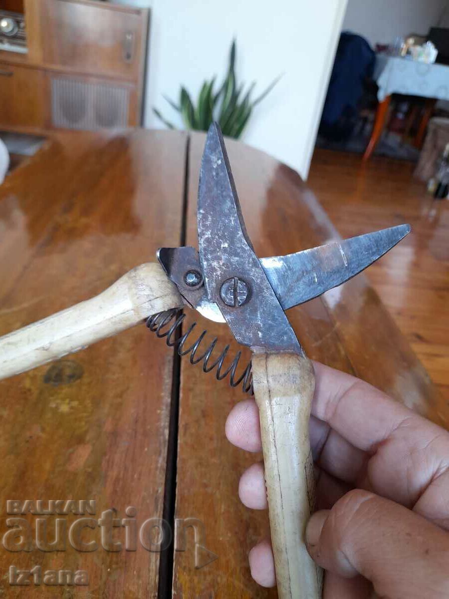 Stara Lozarska, ovoshtarska Nozhitsa, Nozhitsi - 5 Stara Lozarska, ovoshtarska Nozhitsa, Nozhitsi - 5