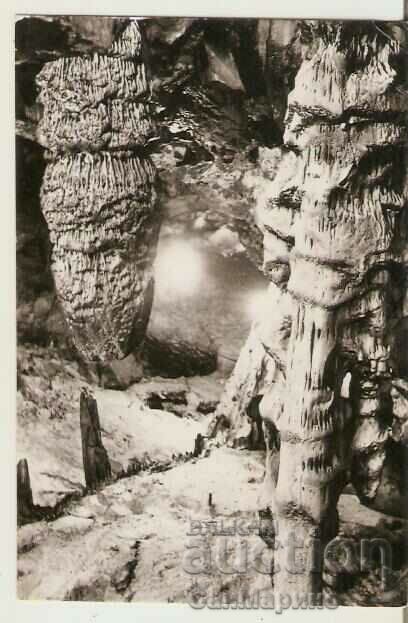 Картичка  България  Пещерата "Магурата"(Рабишката пещера) 2*