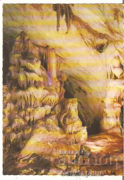 Картичка  България  Пещерата "Магурата"(Рабишката пещера)10*