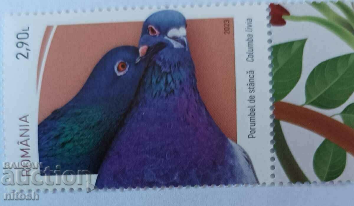 2023, Romania, International Bird Day