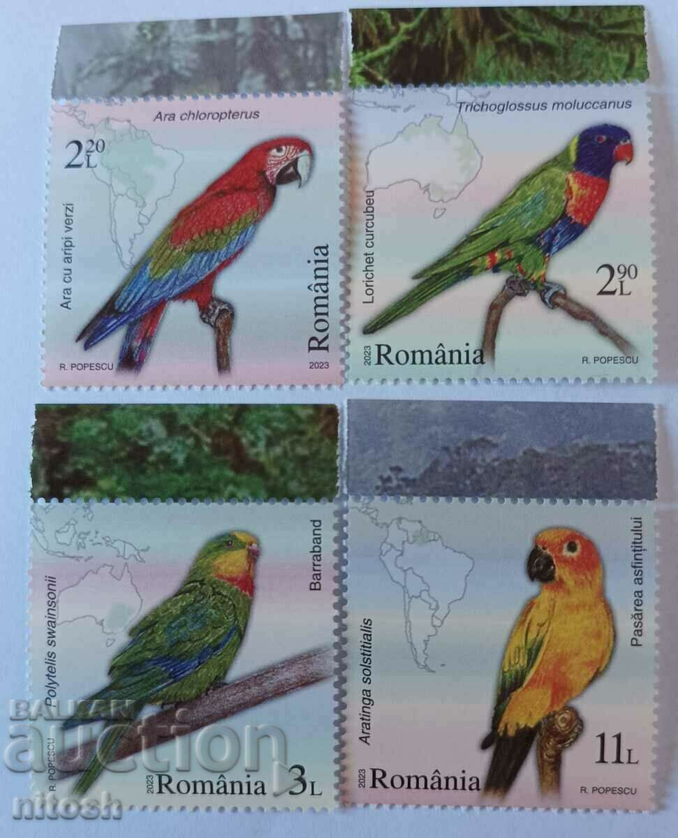 2023, Ρουμανία, Parrots