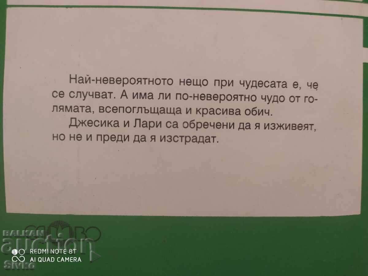 Auction A Night on the Beach in Malibu, Jill Brandy, First Edition Auction A Night on the Beach in Malibu, Jill Brandy, First Edition