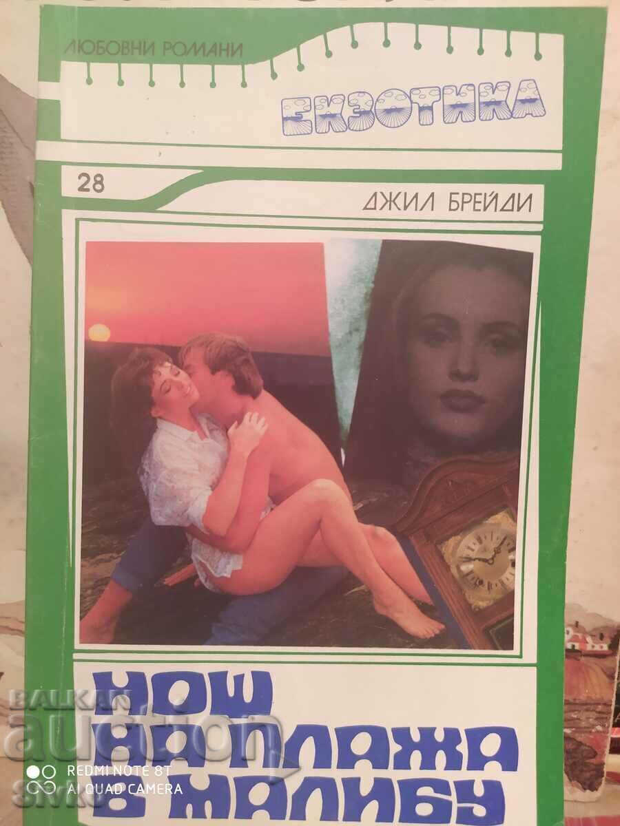 A Night on the Beach in Malibu, Jill Brandy, First Edition A Night on the Beach in Malibu, Jill Brandy, First Edition