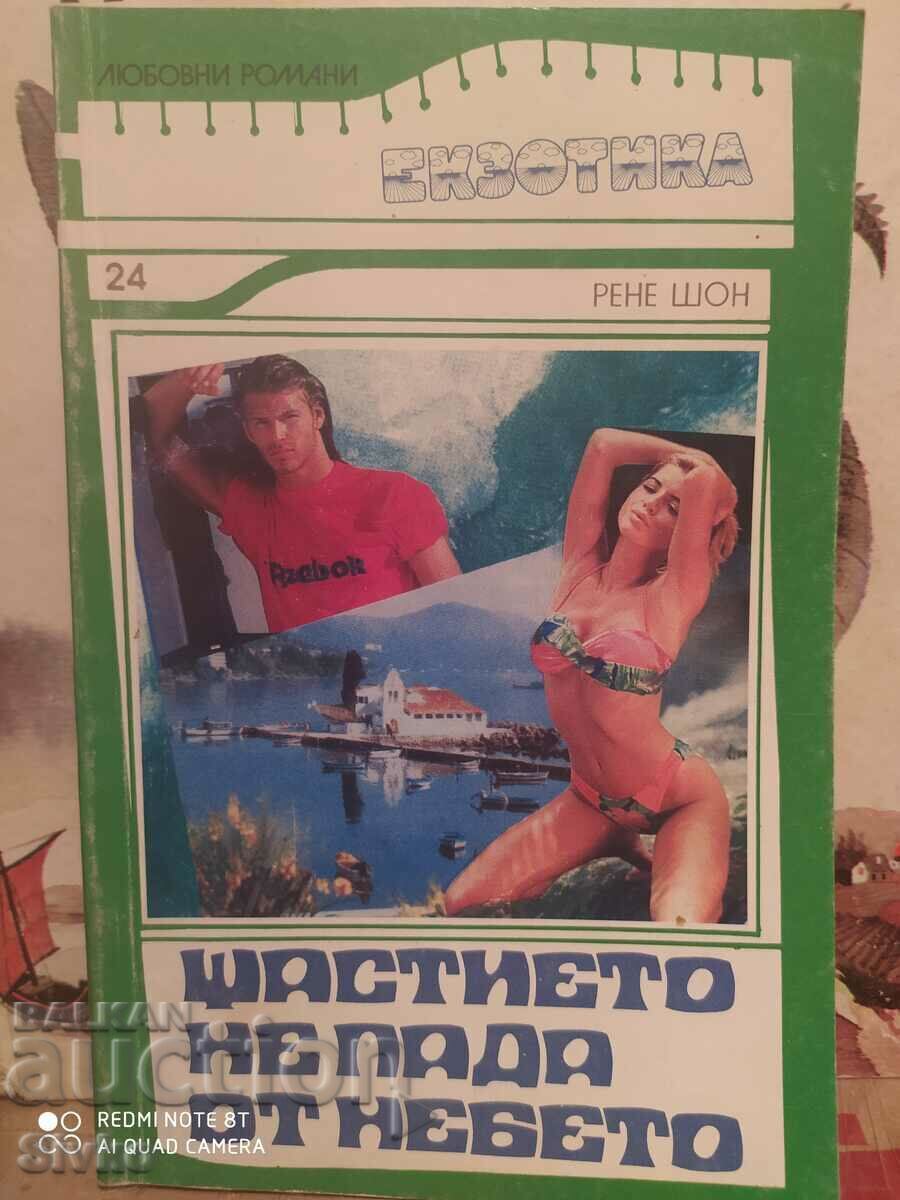 Happiness Doesn't Fall From the Sky, Rene Shawn, First Edition Happiness Doesn't Fall From the Sky, Rene Shawn, First Edition