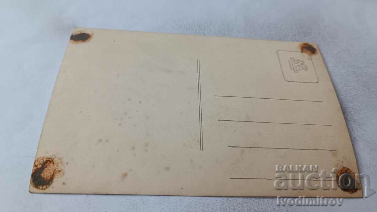 Photo Young men and women with a boat in the river with price 2.35 BGN | € 1.20